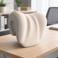 Ergonomic Neck Support Cushion