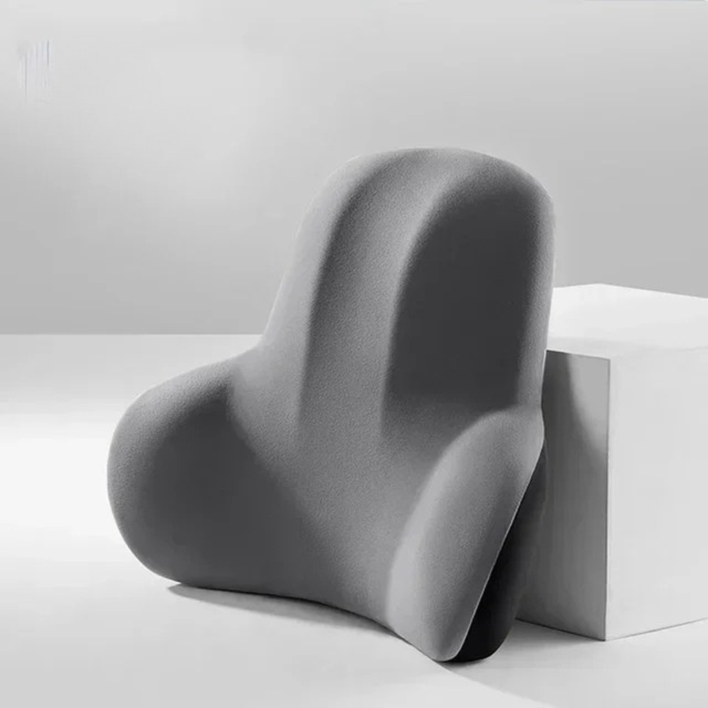 Ergonomic Neck and Lumbar Support Pillow Set for Car